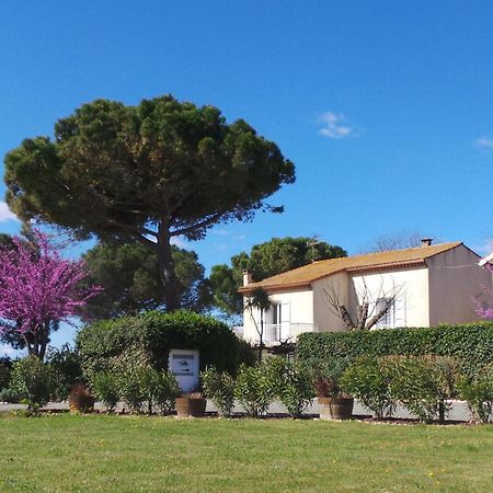 A L'Oree Des Vignes Montady Luaran gambar