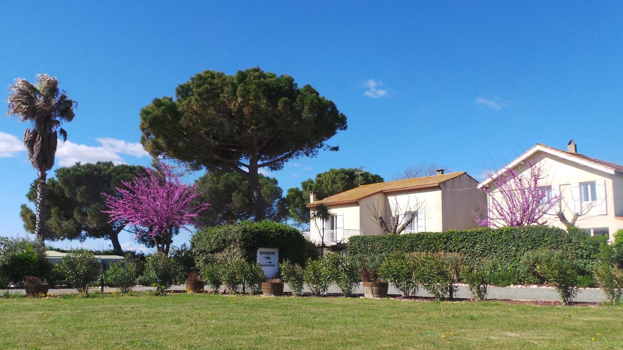 A L'Oree Des Vignes Montady Luaran gambar