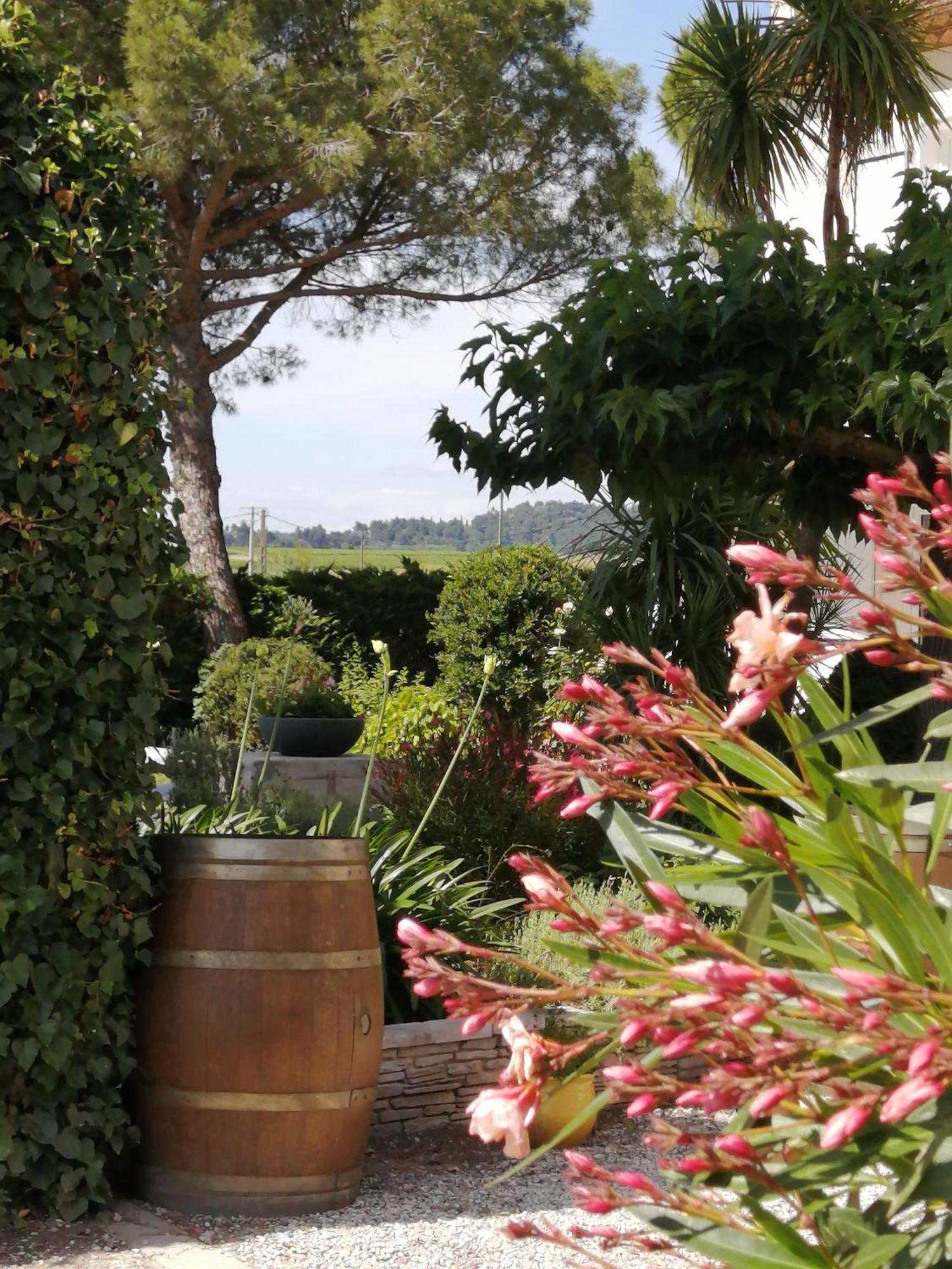 A L'Oree Des Vignes Montady Luaran gambar