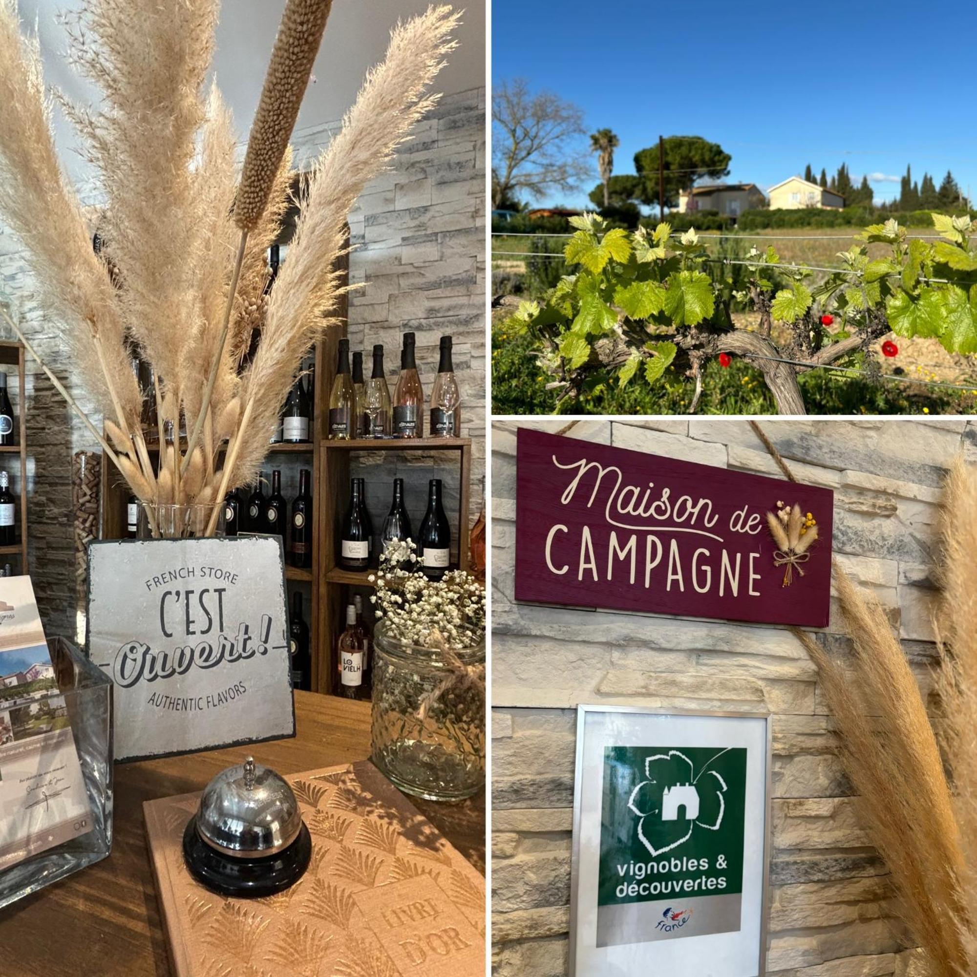 A L'Oree Des Vignes Montady Luaran gambar