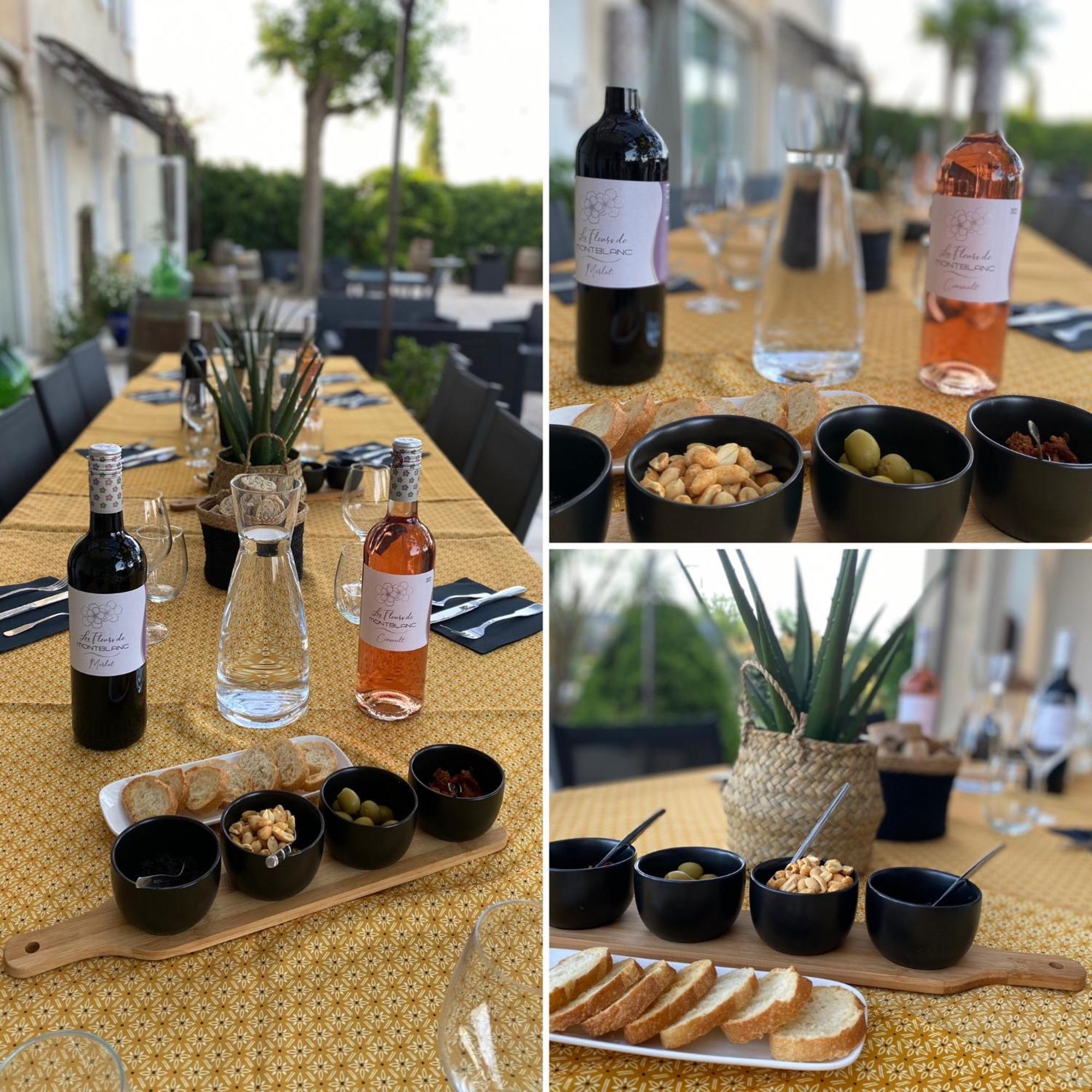 A L'Oree Des Vignes Montady Luaran gambar